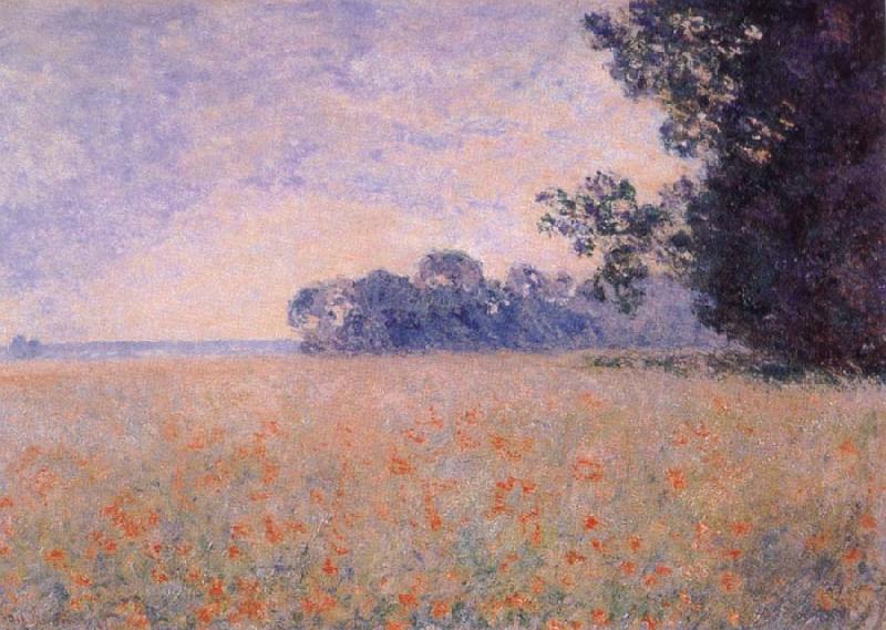 Claude Monet Oat and Poppy Field oil painting picture
